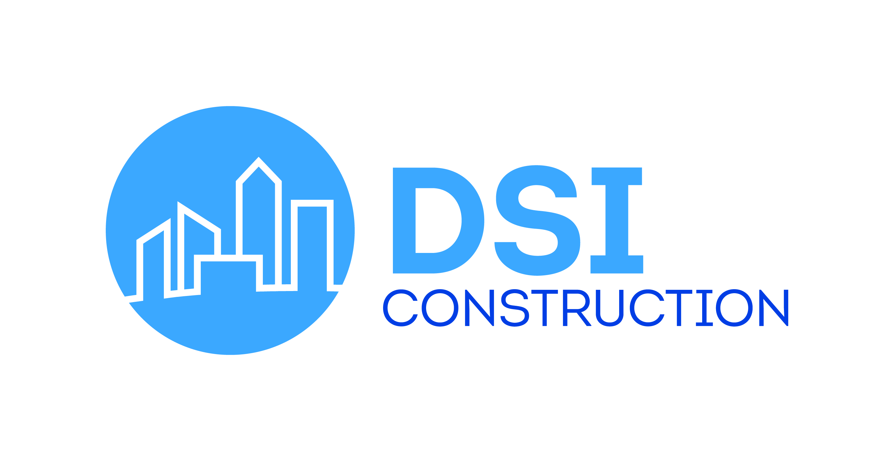 DSI Logo